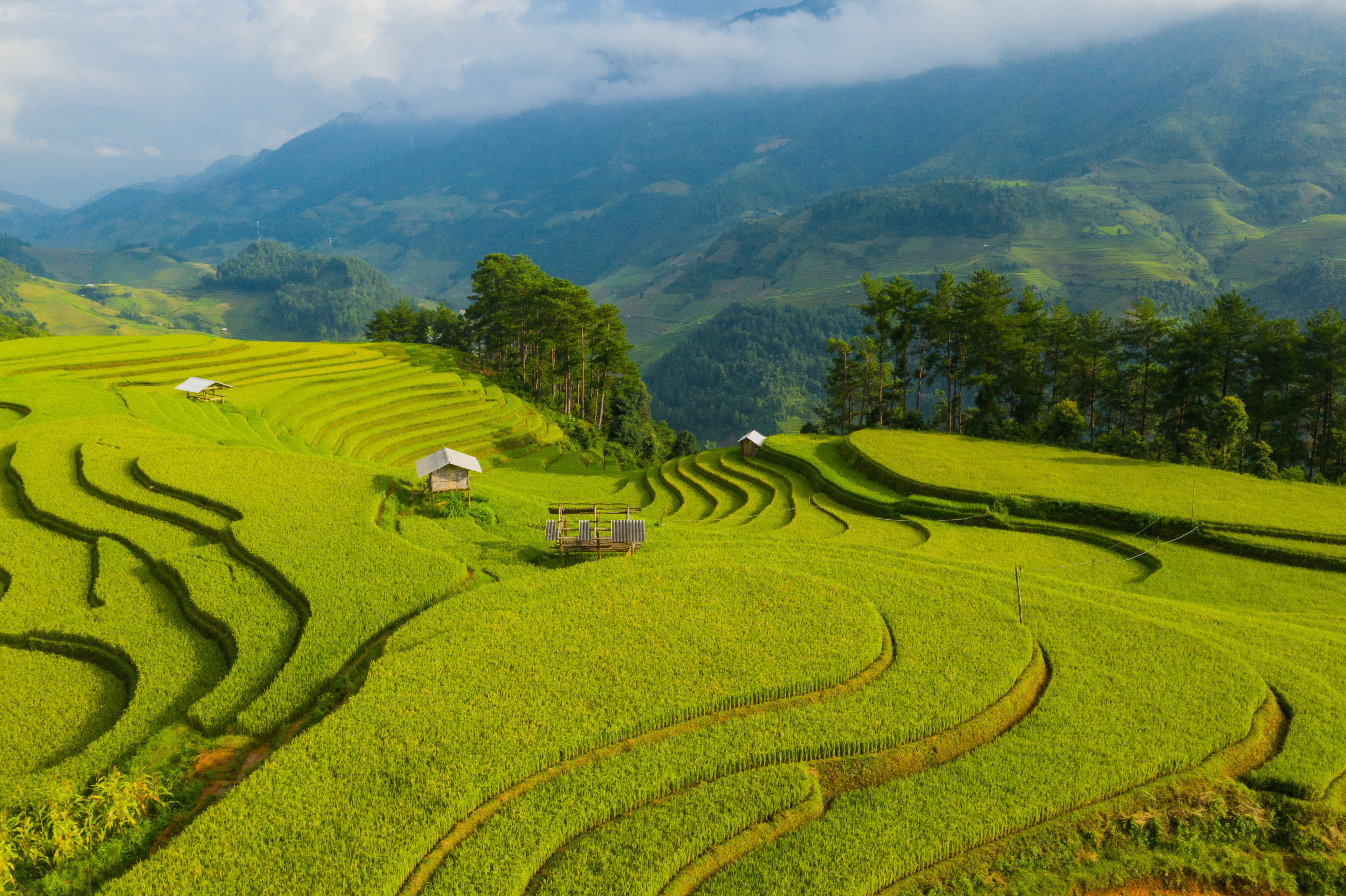 SAPA JOURNEY - 3 DAYS 2 NIGHTS
